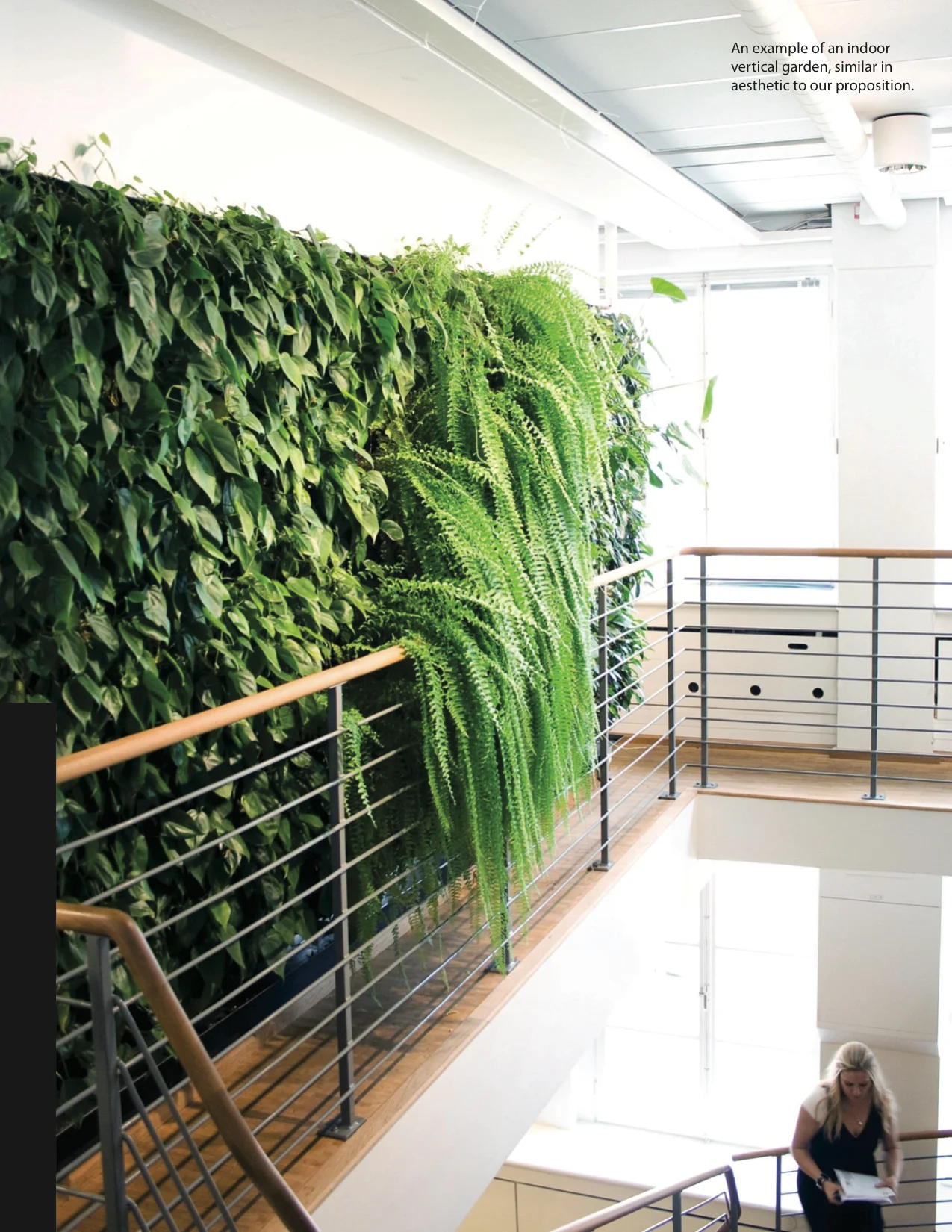 Living Wall, image 3 of 7
